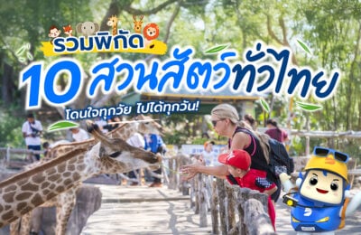 รวมพิกัด 10 สวนสัตว์ทั่วไทย โดนใจทุกวัย ไปได้ทุกวัน!
