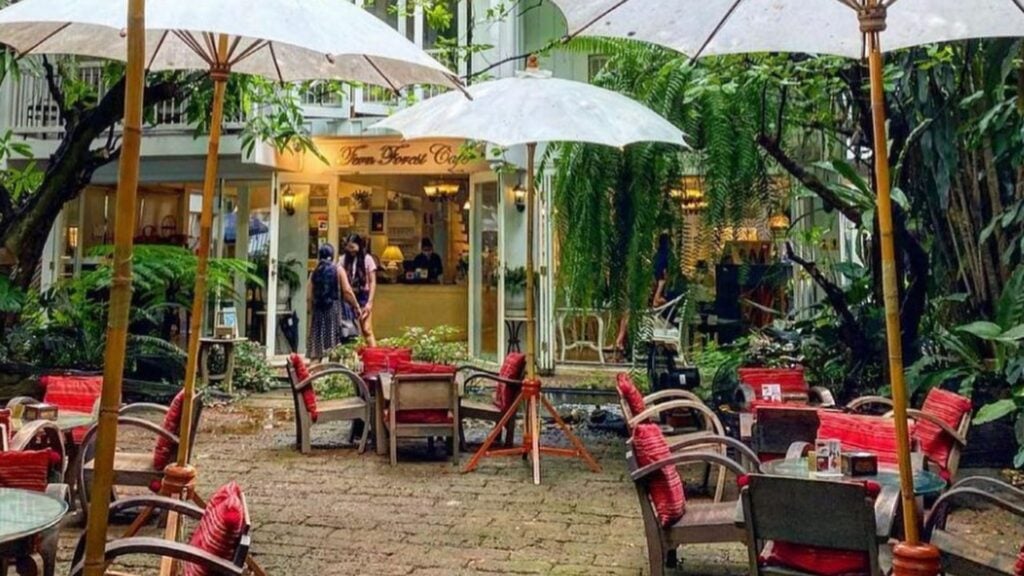 คาเฟ่เชียงใหม่ - เฟิร์นฟอเรสต์คาเฟ่ (Fern Forest Cafe)