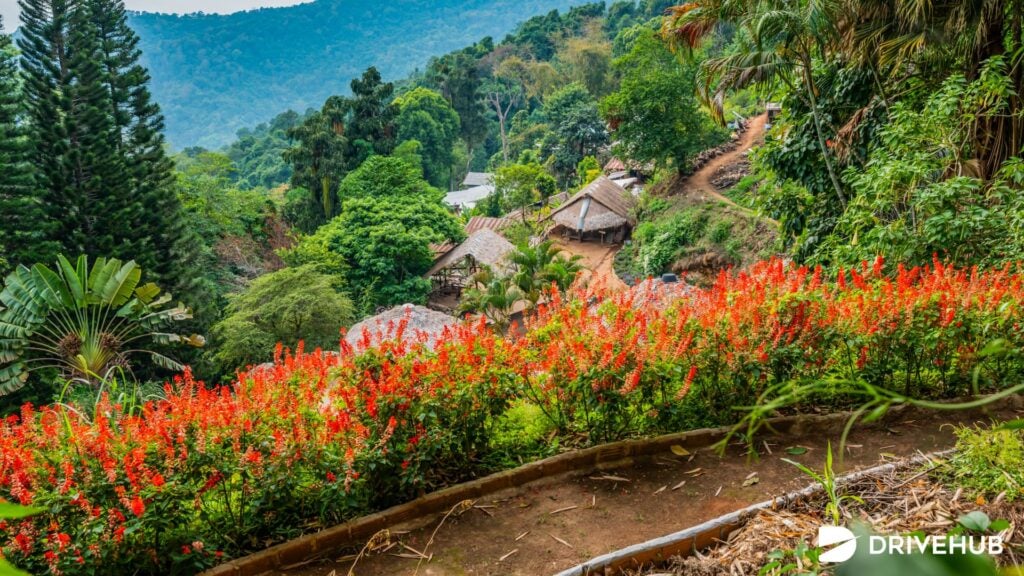 ที่เที่ยวดอยสุเทพ - ดอยปุย (Doi Pui)