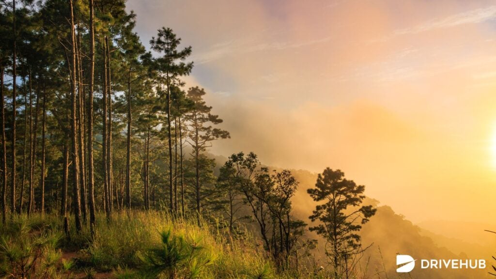 ที่เที่ยวดอยสุเทพ - อุทยานแห่งชาติดอยสุเทพ-ปุย (Doi Suthep-Pui National Park)