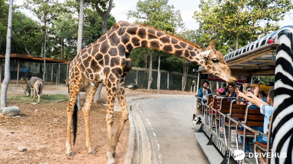 ที่เที่ยวดอยสุเทพ - สวนสัตว์เชียงใหม่ (Chiang Mai Zoo)