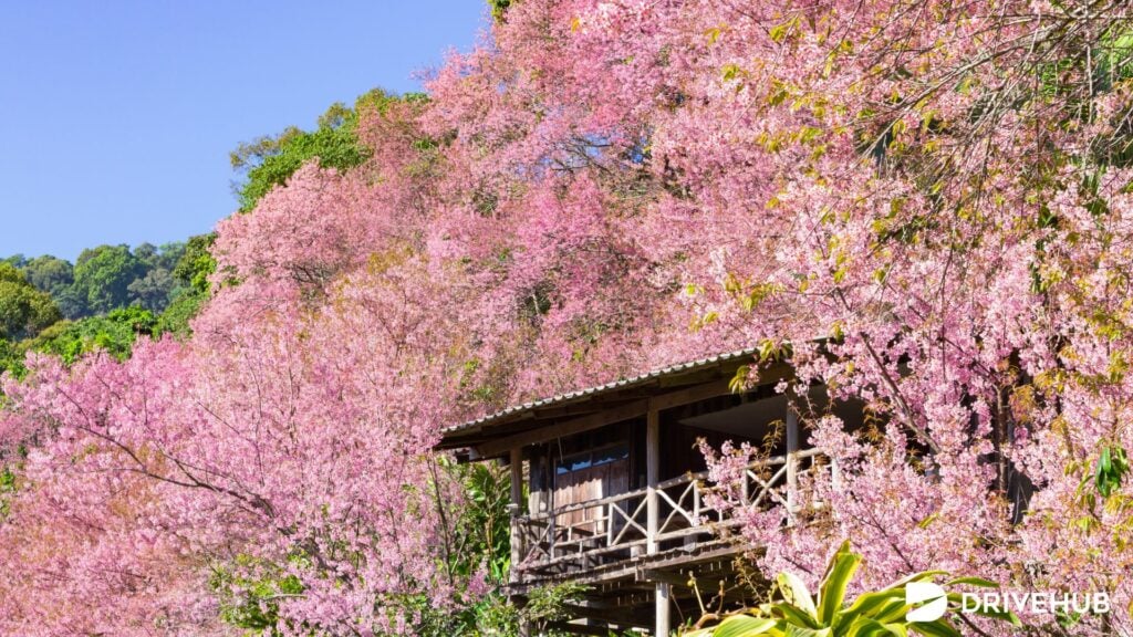 ที่เที่ยวดอยสุเทพ - ขุนช่างเคี่ยน (Khun Chang Khian)