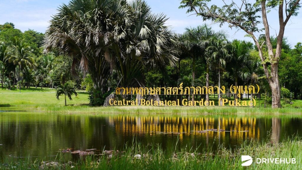 ที่เที่ยวสระบุรี - สวนพฤกษศาสตร์พุแค (Pukae Botanical Garden)