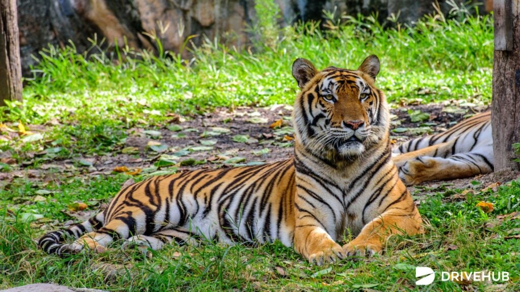 สวนสัตว์ทั่วไทย - สวนสัตว์สงขลา (Songkhla Zoo)