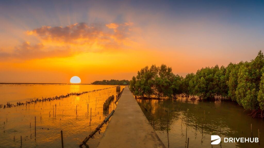 ที่เที่ยวเพชรบุรี - แหลมผักเบี้ย (Laem Phak Bia)