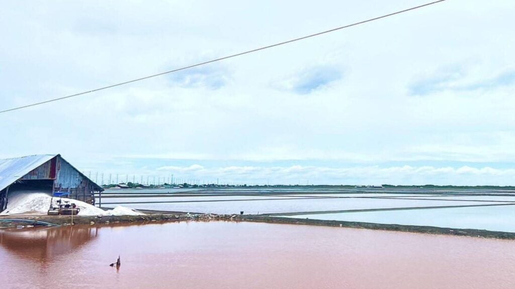 ที่เที่ยวเพชรบุรี - นาเกลือสีชมพู (Pink Salt Pond)