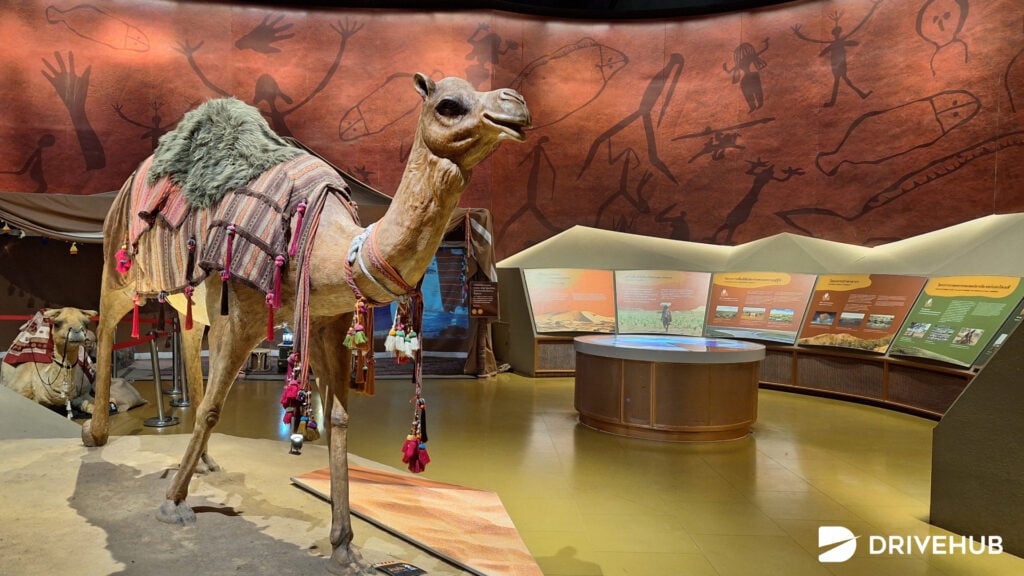 ที่เที่ยวปทุมธานี - พิพิธภัณฑ์วิทยาศาสตร์แห่งชาติ (National Science Museum)