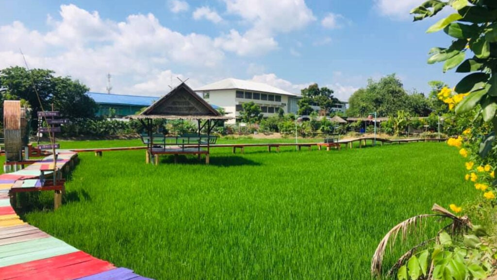 ที่เที่ยวปทุมธานี - ทุ่งนามอญ (Thung Na Mon)