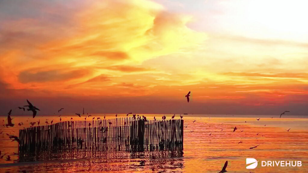 ที่เที่ยวธรรมชาติใกล้กรุงเทพฯ - สถานตากอากาศบางปู จังหวัดสมุทรปราการ (Bang Pu Recreation Center)