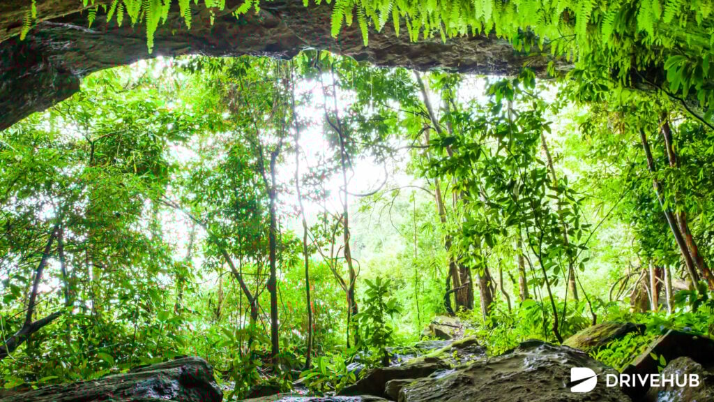 ที่เที่ยวสกลนคร - อุทยานแห่งชาติภูผายล (Phu Pha Yon National Park)