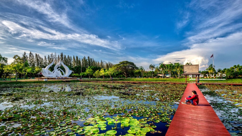 ที่เที่ยวสกลนคร - อุทยานบัวเฉลิมพระเกียรติ (Kasetsart University Lotus and Waterlily Park)