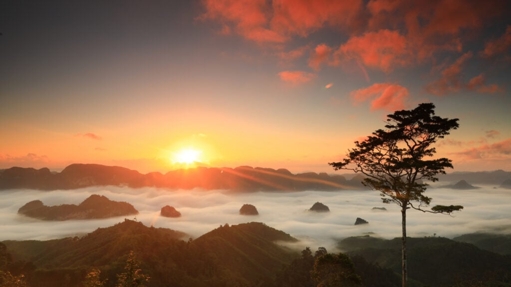 จุดชมวิวทะเลหมอก - ดอยตาปัง (Doi Ta Pang)