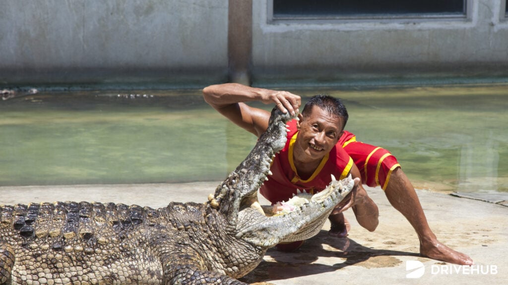 ที่เที่ยวสมุทรปราการ - ฟาร์มจระเข้และสวนสัตว์ สมุทรปราการ (Samut Prakan Crocodile Farm Zoo)