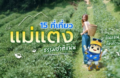 15 ที่เที่ยวแม่แตง เชียงใหม่ ธรรมชาติแน่น ดินแดนแห่งความสุข