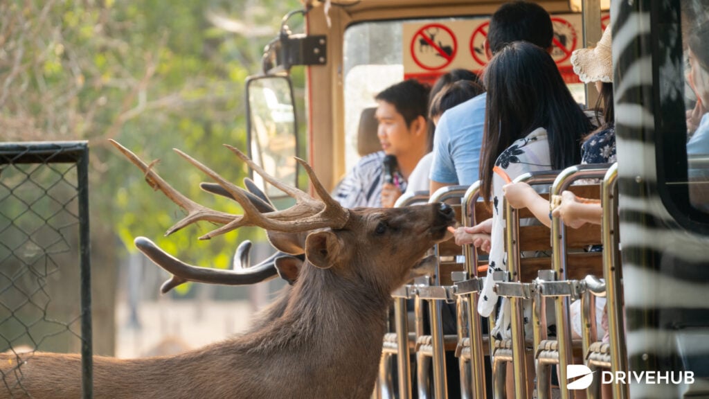 ที่เที่ยวในเมืองเชียงใหม่ - สวนสัตว์เชียงใหม่ (Chiang Mai Zoo)
