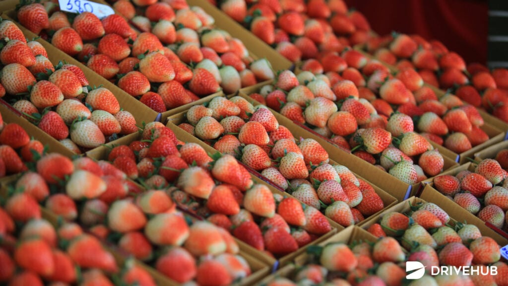 ของฝากเชียงใหม่ - ผลไม้เมืองหนาว (Temperate Fruits)