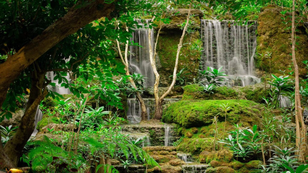 ที่เที่ยวเชียงใหม่ - ช้างทองเฮอริเทจพาร์ค (Changthong Heritage Park) 