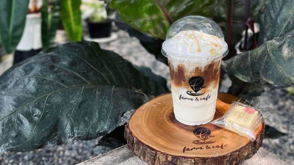 คาเฟ่ขอนแก่น - พินฟาร์ม แอนด์ คาเฟ่ (PIN Farm & Cafe)
