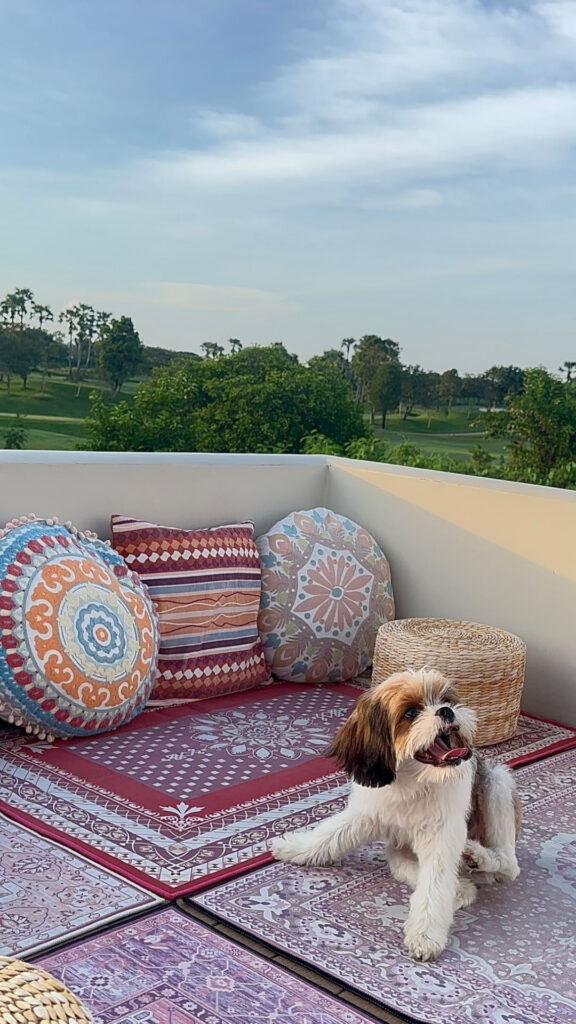 คาเฟ่นครปฐม - MIDLAND FAMI