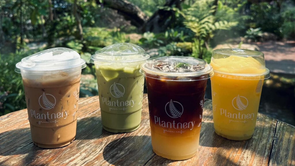 คาเฟ่นนทบุรี - แพลนท์เนอรี กรีน คาเฟ่ (Plantnery Green Cafe)